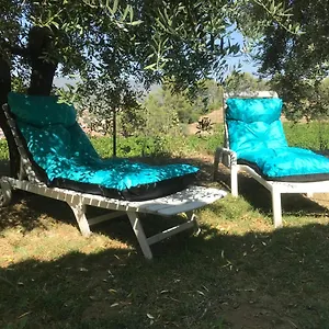  Bed & Breakfast Du Moulin